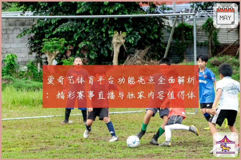 爱奇艺体育平台功能亮点全面解析：精彩赛事直播与独家内容值得体验