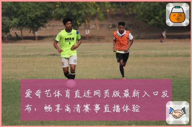 爱奇艺体育直连网页版最新入口发布，畅享高清赛事直播体验